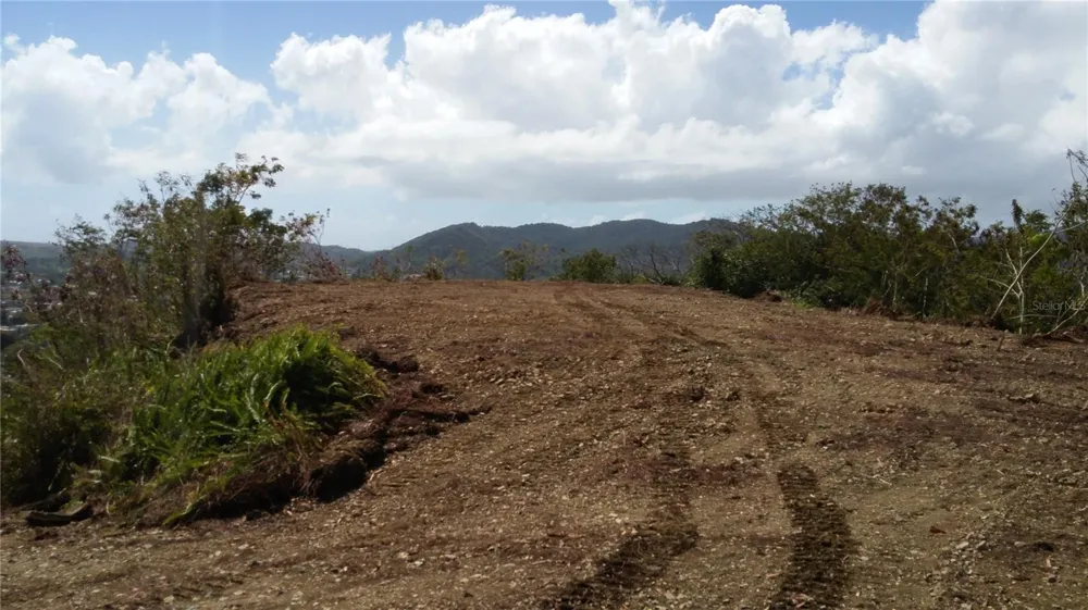 MABO Humacao, PR 00791