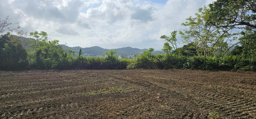 MABO Humacao, PR 00791