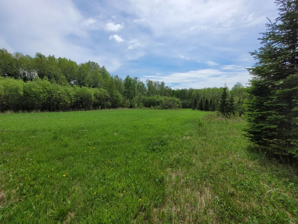 68401 County Road 547 Cook, MN 55723
