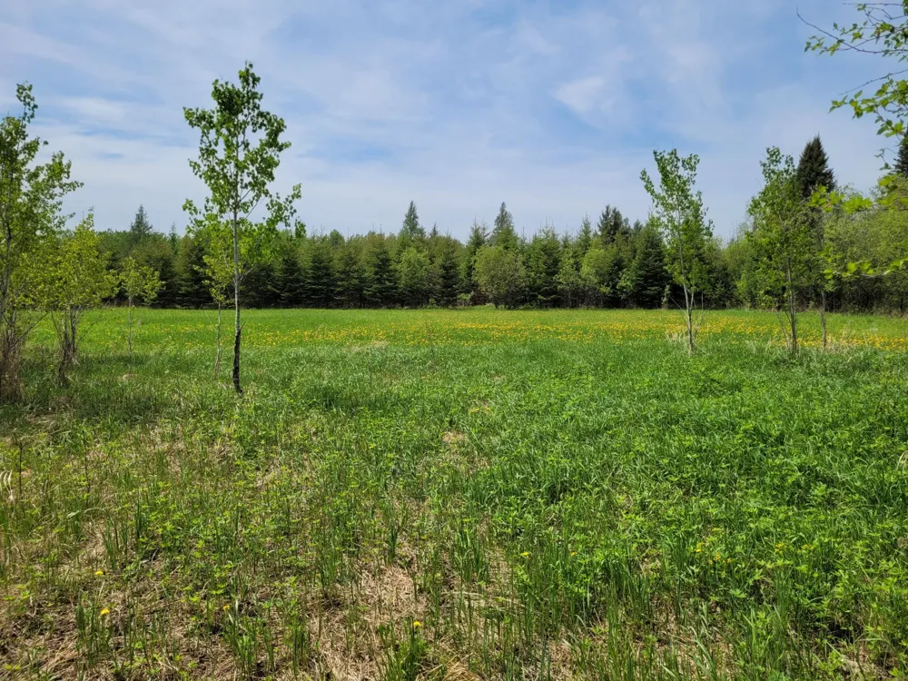 68401 County Road 547 Cook, MN 55723