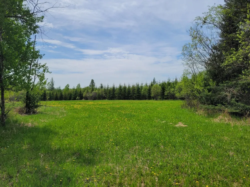 68401 County Road 547 Cook, MN 55723