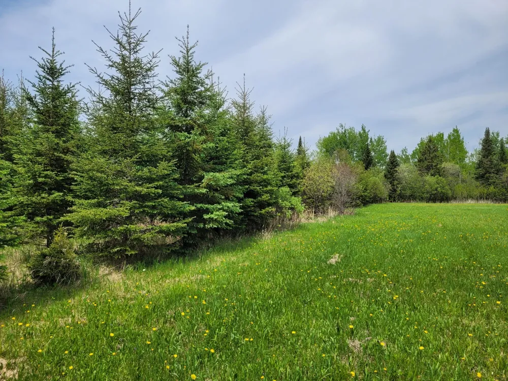 68401 County Road 547 Cook, MN 55723