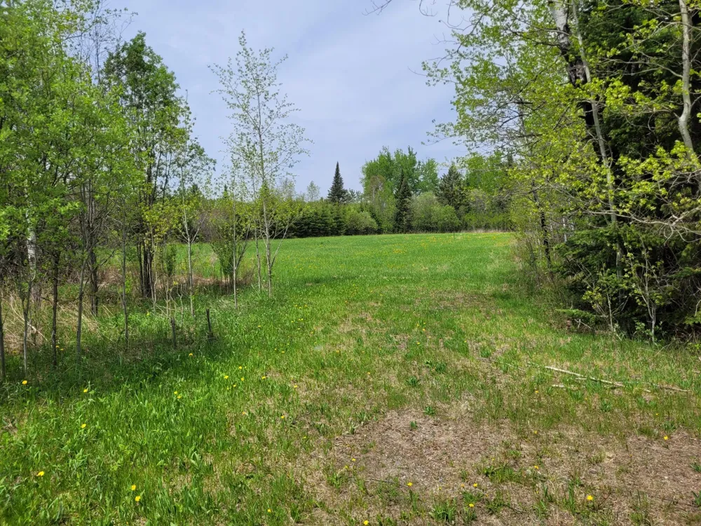 68401 County Road 547 Cook, MN 55723