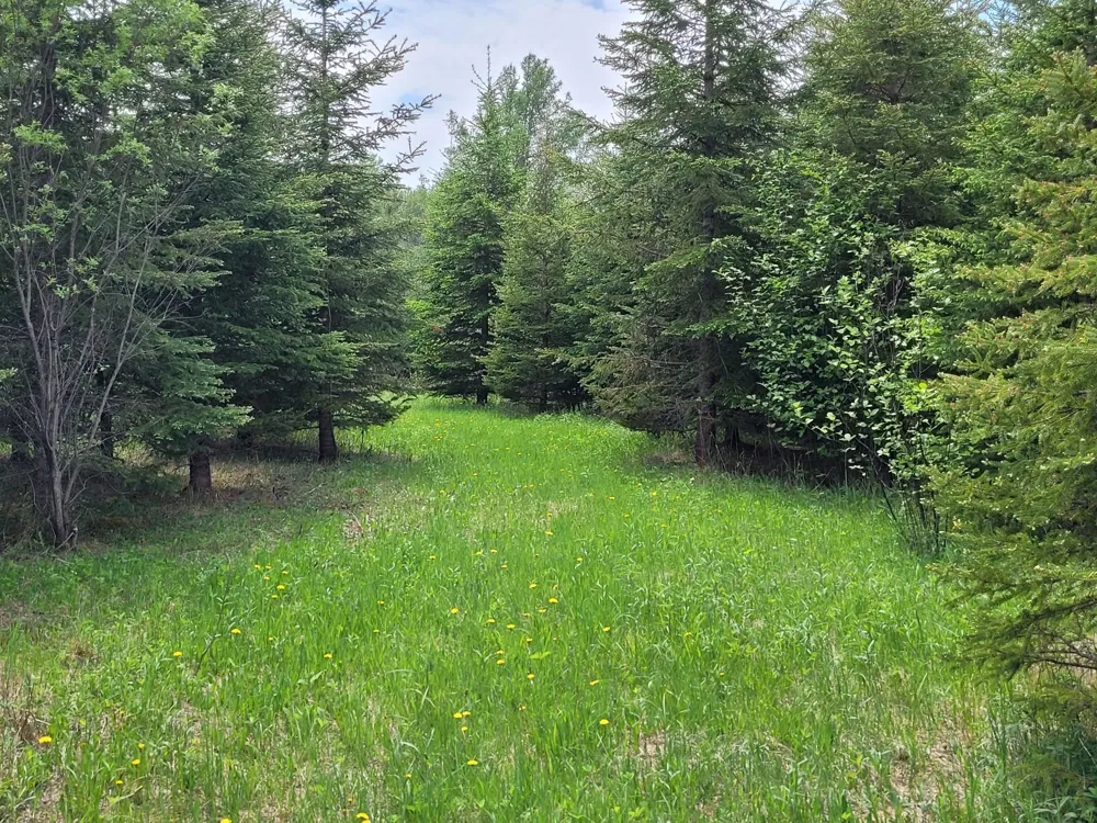 68401 County Road 547 Cook, MN 55723