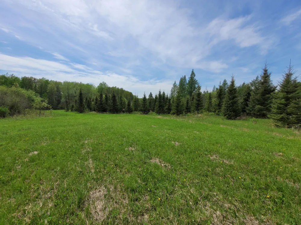 68401 County Road 547 Cook, MN 55723