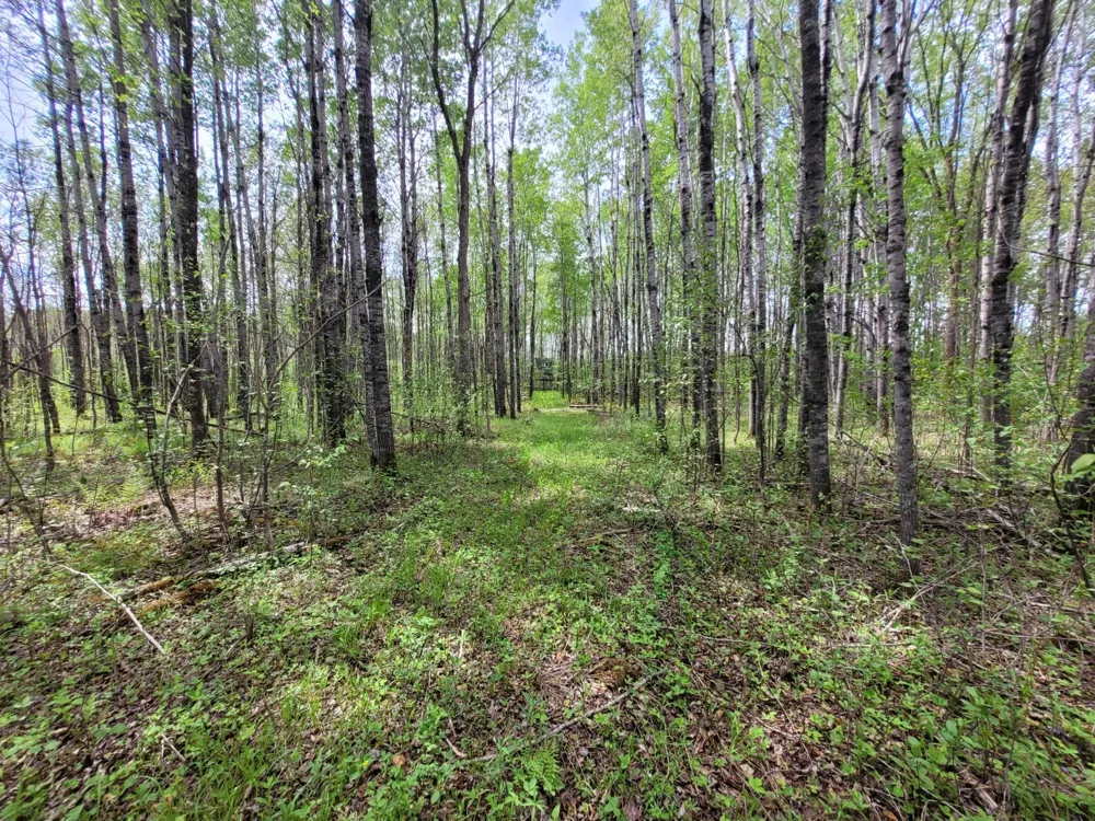 68401 County Road 547 Cook, MN 55723
