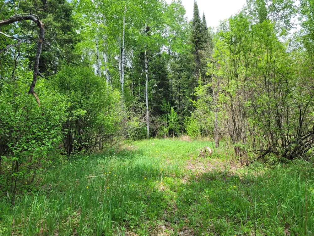 68401 County Road 547 Cook, MN 55723