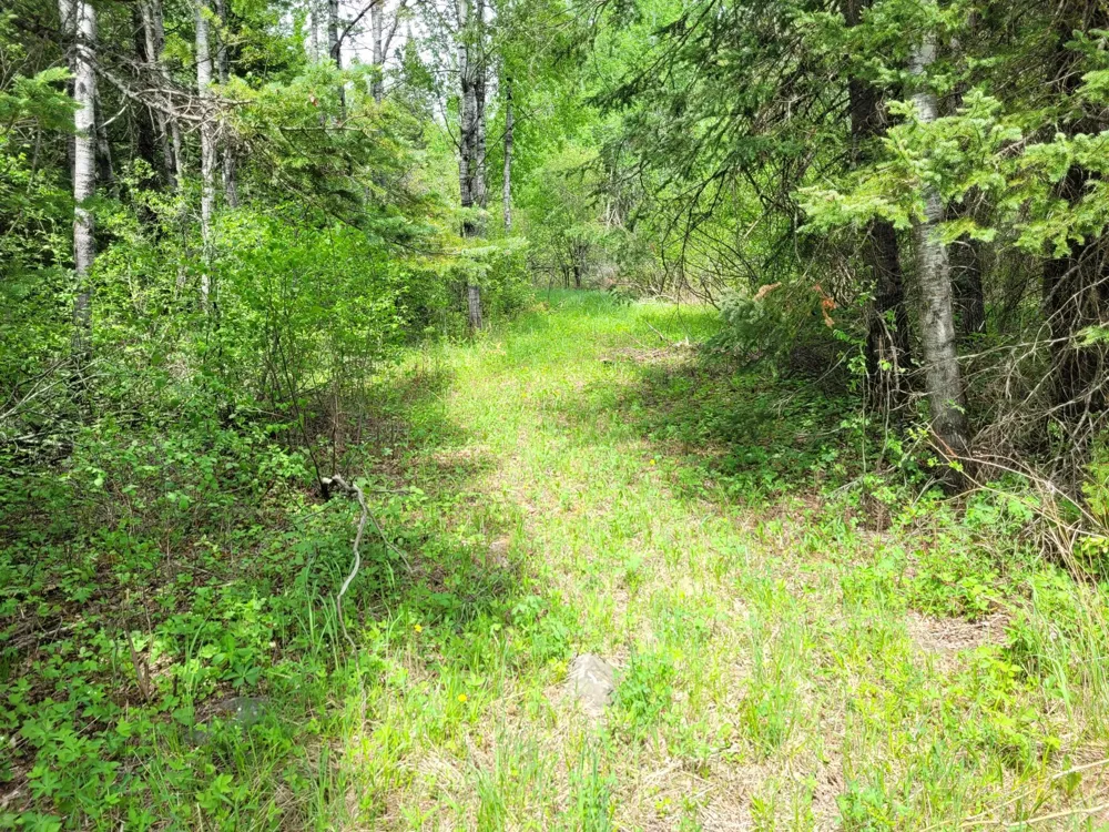 68401 County Road 547 Cook, MN 55723