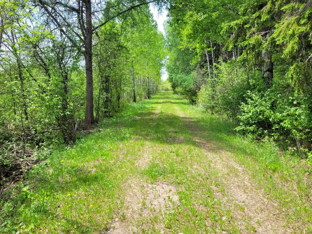 68401 County Road 547 Cook, MN 55723