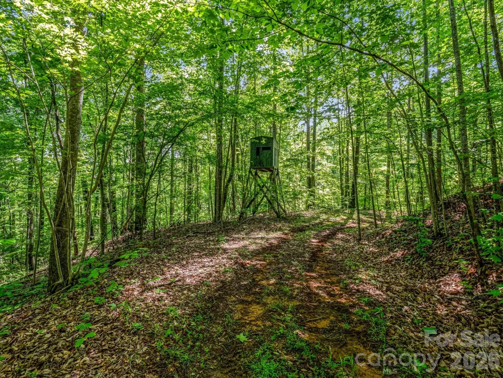 980 Mountain Forest Drive Union Mills, NC 28167