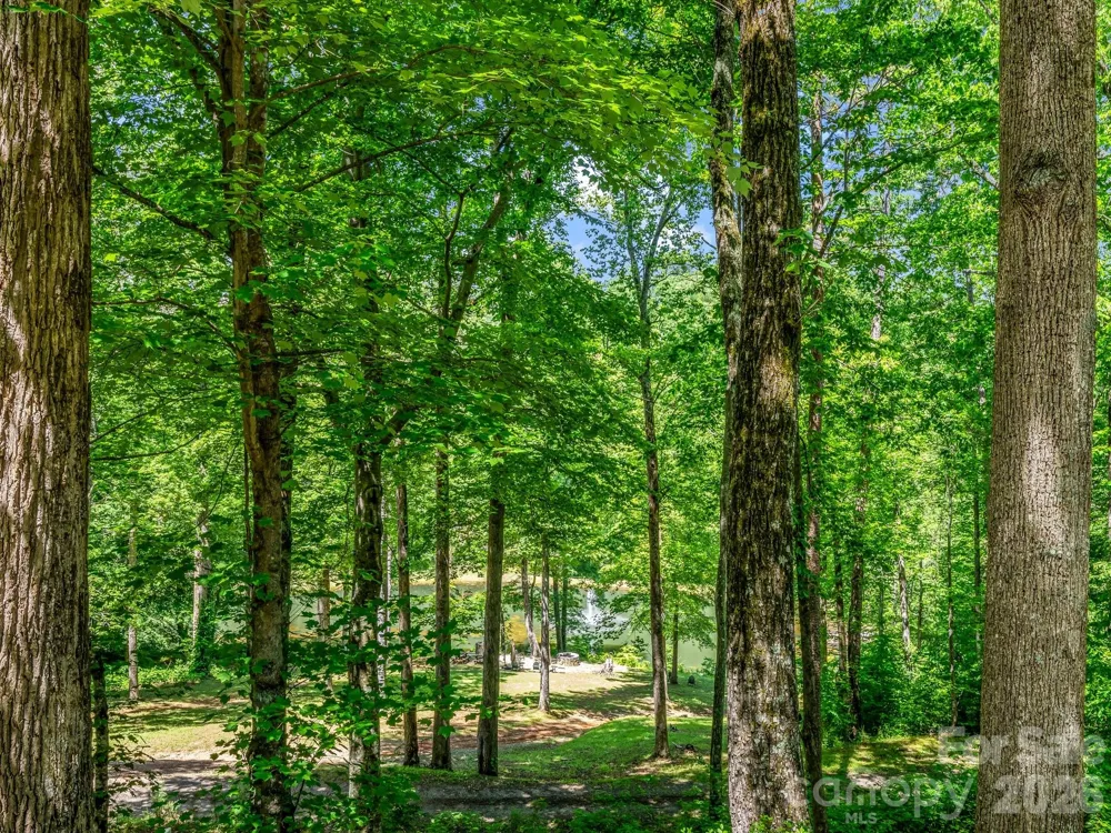 980 Mountain Forest Drive Union Mills, NC 28167