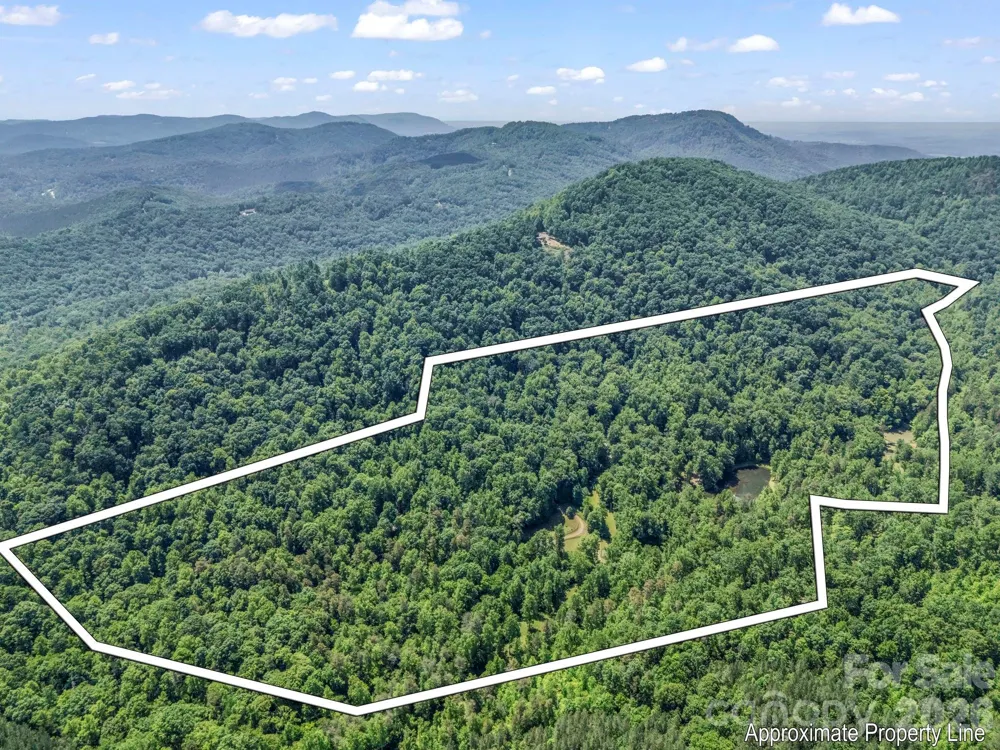 980 Mountain Forest Drive Union Mills, NC 28167
