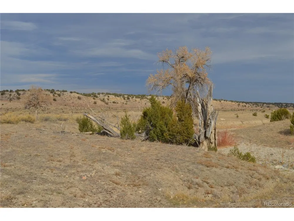Red Creek Springs Road Pueblo, CO 81005