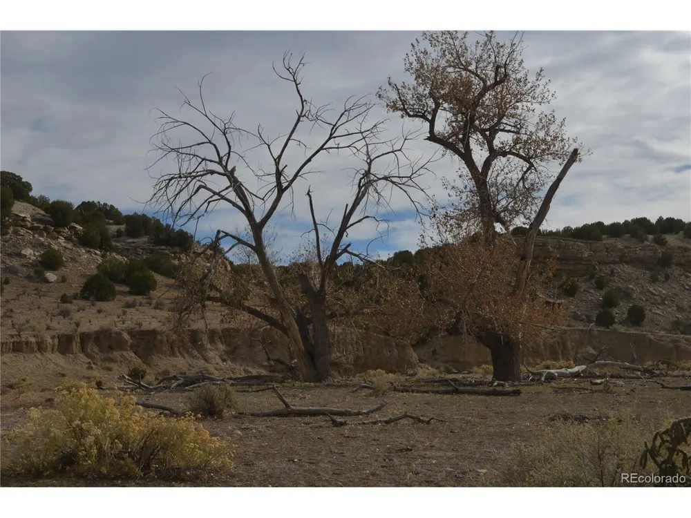 Red Creek Springs Road Pueblo, CO 81005