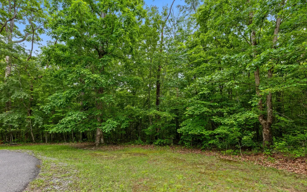 41 Quill Haven Drive Signal Mountain, TN 37377