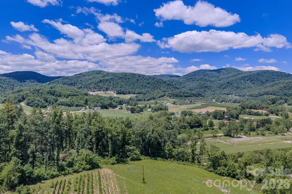 0 Woodlyn Etch Drive #1 Hendersonville, NC 28792