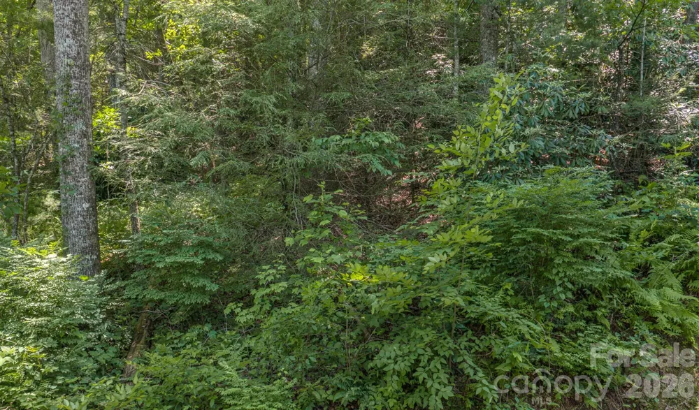 0 Woodlyn Etch Drive #1 Hendersonville, NC 28792