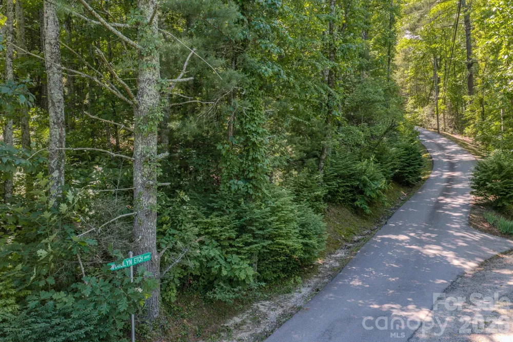 0 Woodlyn Etch Drive #1 Hendersonville, NC 28792