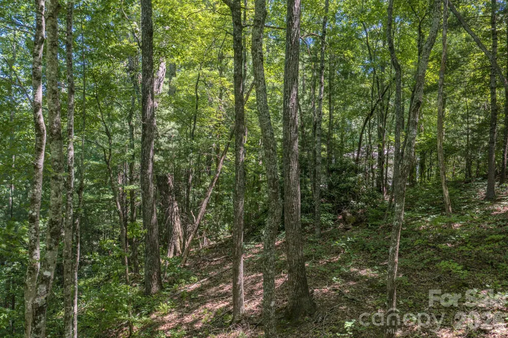 0 Woodlyn Etch Drive #1 Hendersonville, NC 28792