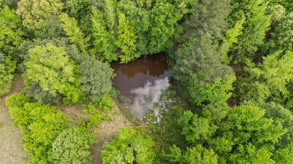 410 CR 1125 Texarkana, AR 71854