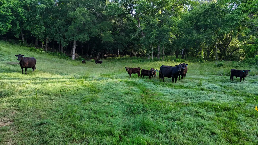 1148 County Road 1591 Alvord, TX 76225