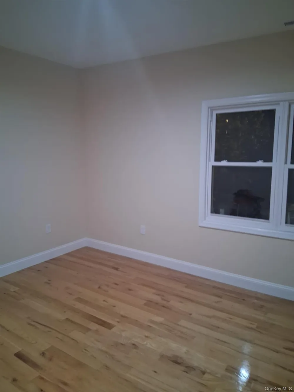 601 E 226th Street Bronx, NY 10466
