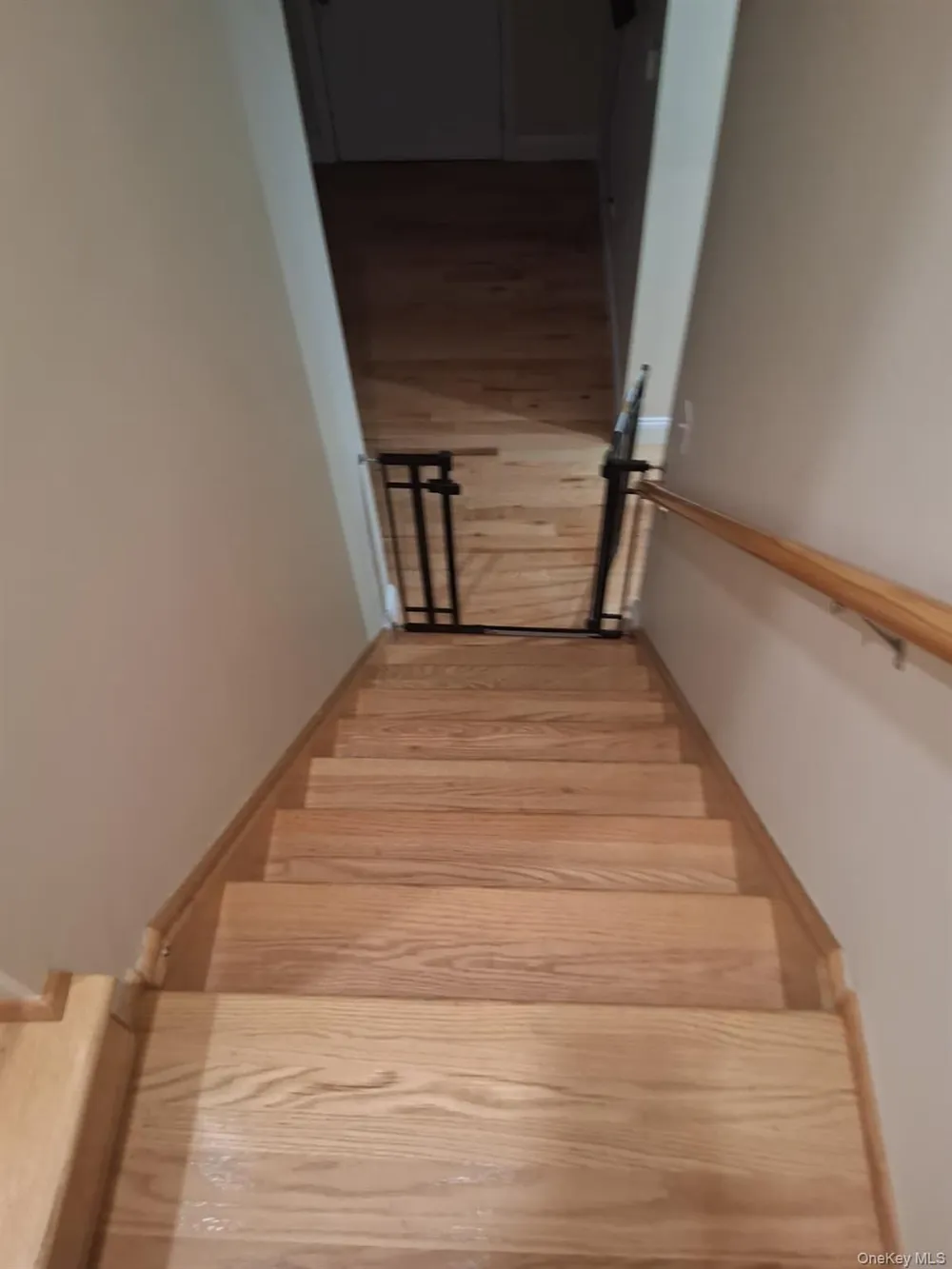 601 E 226th Street Bronx, NY 10466