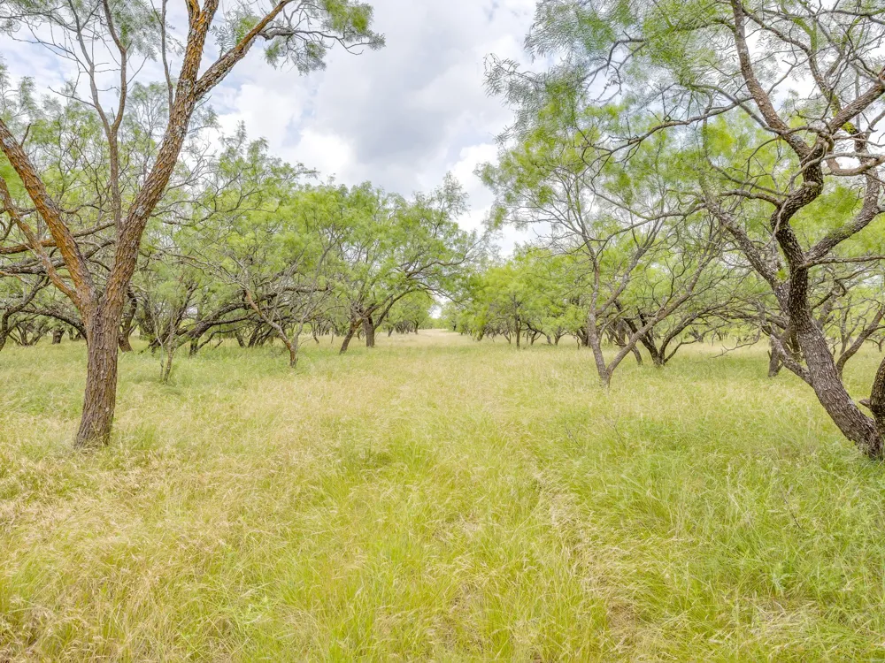 1053 Fm 503 Coleman, TX 76834