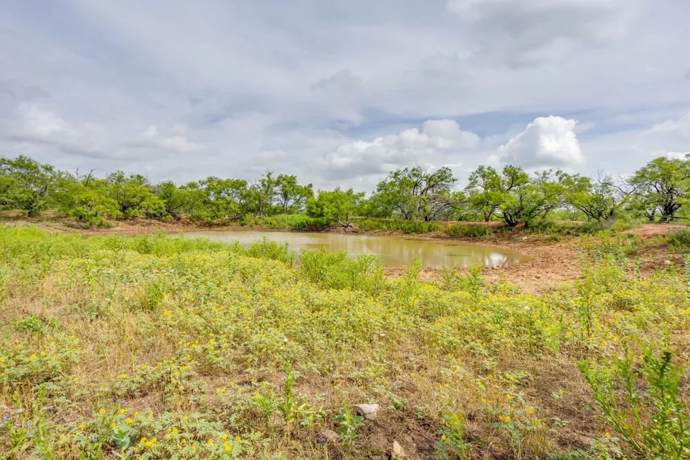 1053 Fm 503 Coleman, TX 76834