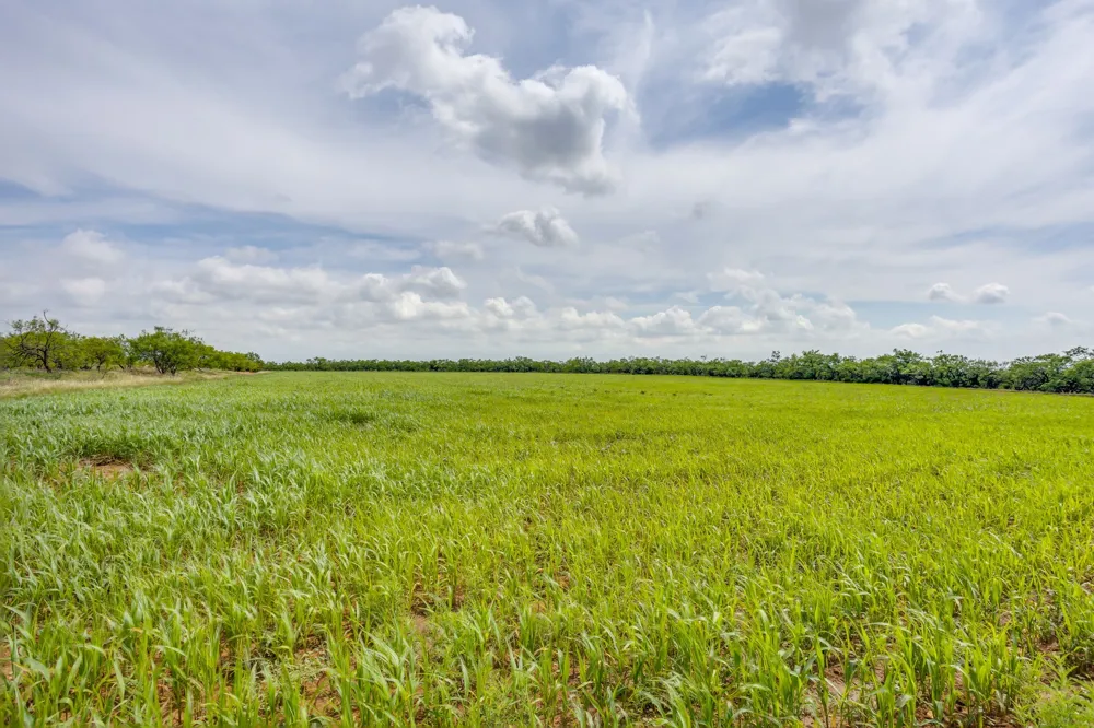 1053 Fm 503 Coleman, TX 76834