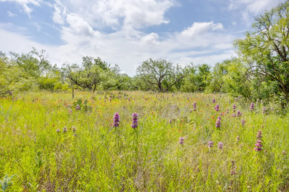 1053 Fm 503 Coleman, TX 76834