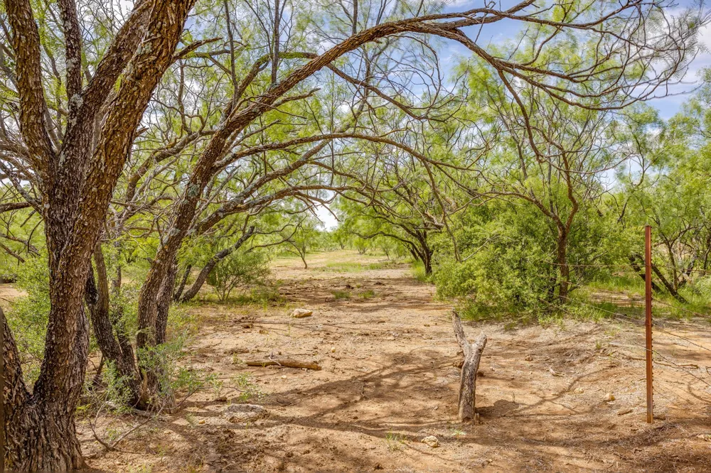 1053 Fm 503 Coleman, TX 76834