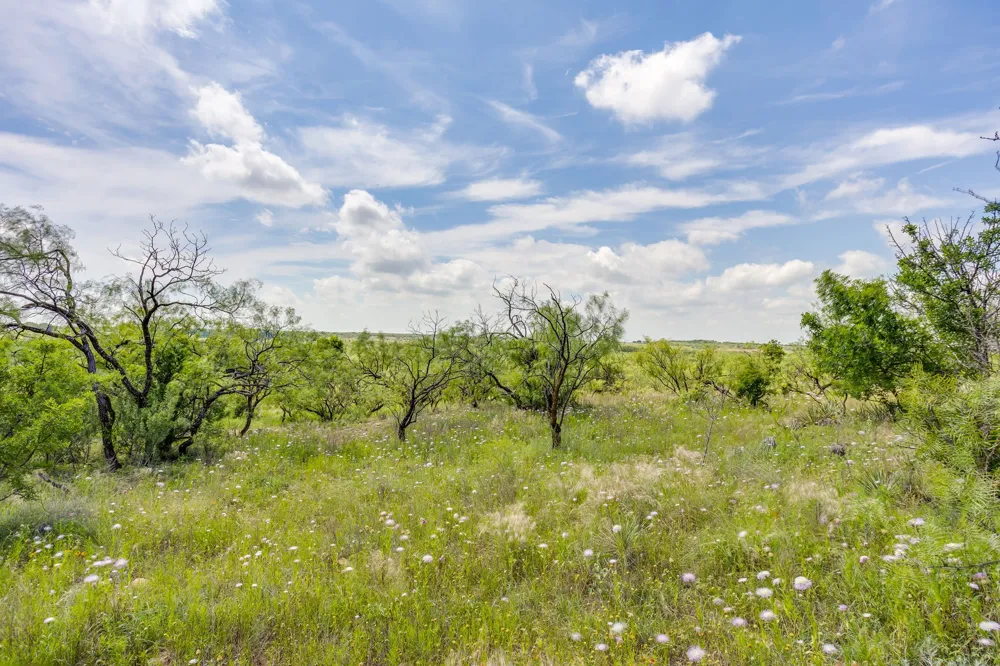 1053 Fm 503 Coleman, TX 76834