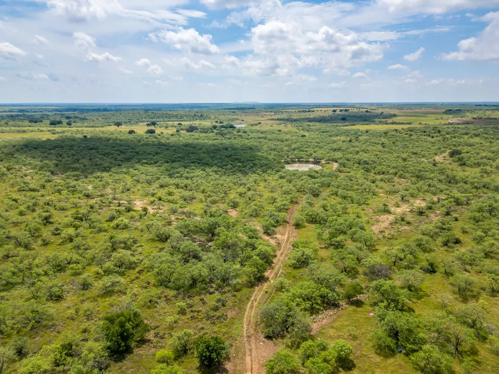 1053 Fm 503 Coleman, TX 76834