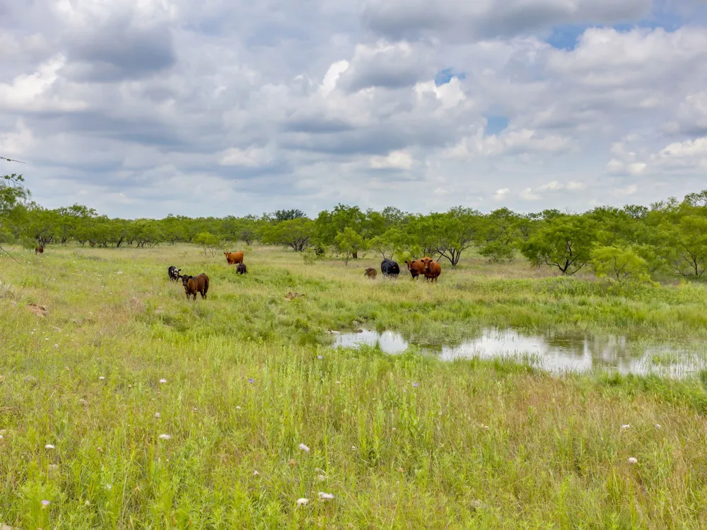 1053 Fm 503 Coleman, TX 76834