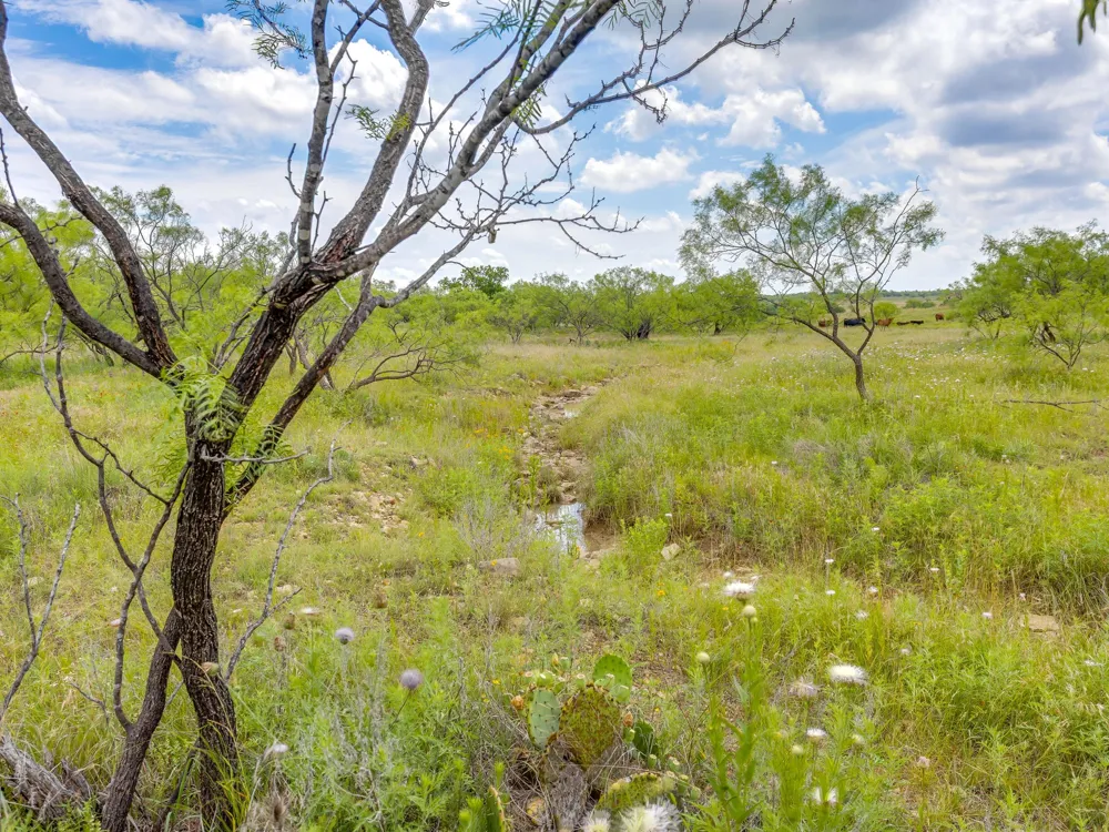 1053 Fm 503 Coleman, TX 76834