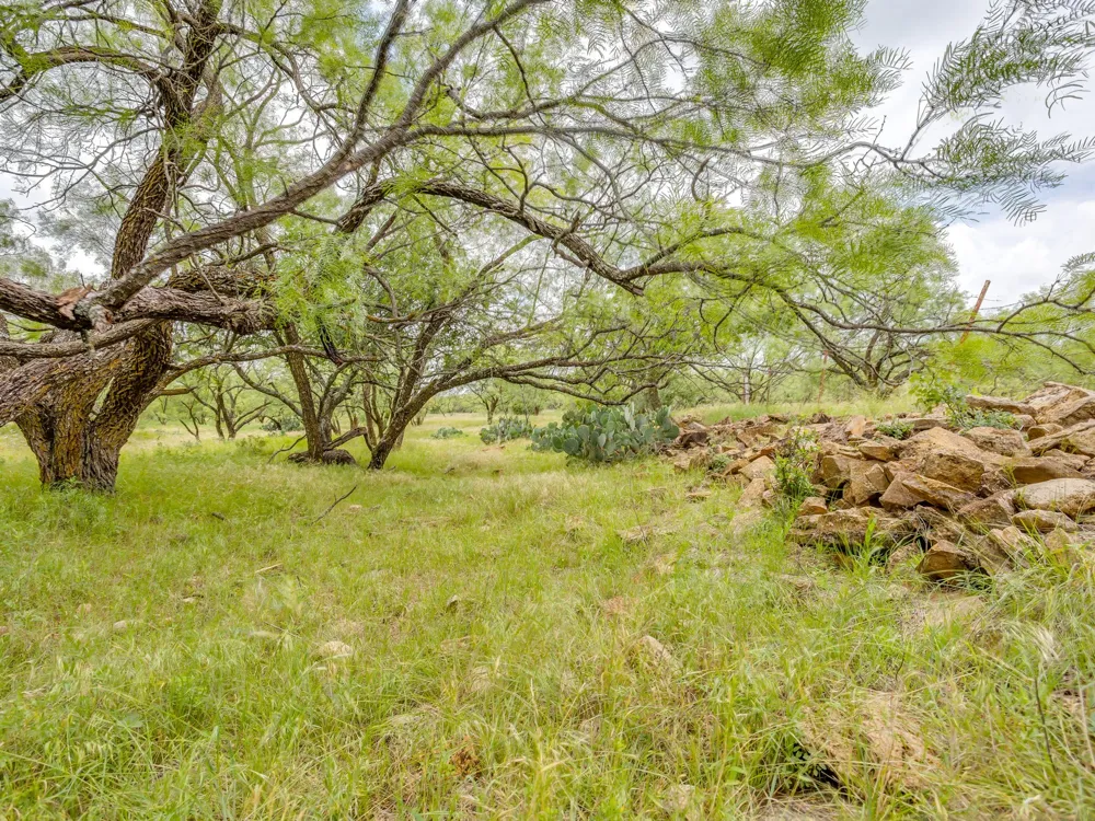 1053 Fm 503 Coleman, TX 76834