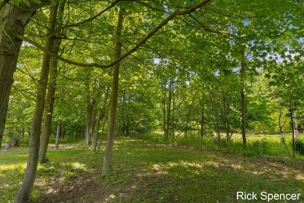 3321 Babylon Road Allegan, MI 49010