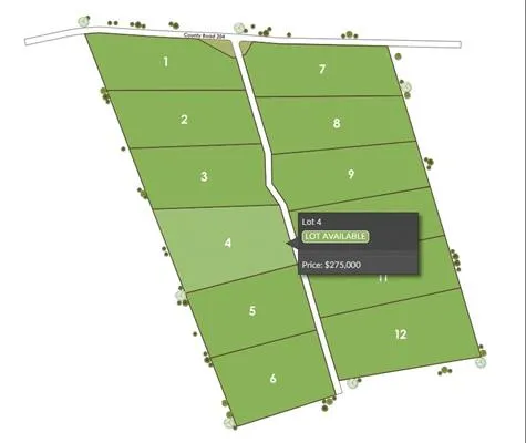 1115 Tract 4 - County Road 204 Burnet, TX 78611