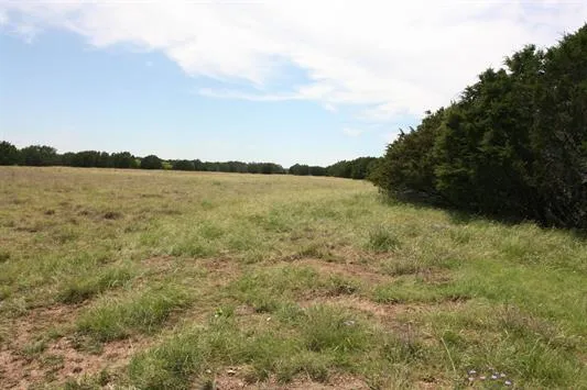 1115 Tract 4 - County Road 204 Burnet, TX 78611