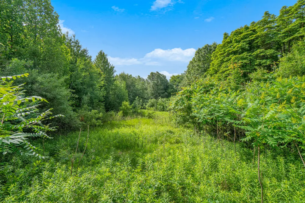 3365 Palmer Drive #59 Saugatuck Township, MI 49453