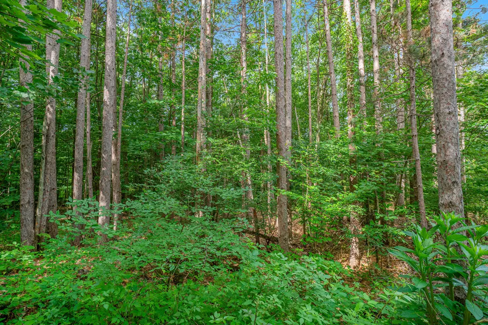 3365 Palmer Drive #59 Saugatuck Township, MI 49453