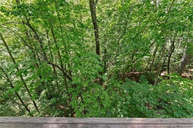 17 Dach Bruecke Gasse Helen, GA 30545