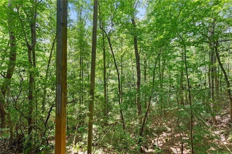 17 Dach Bruecke Gasse Helen, GA 30545