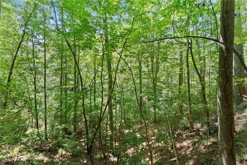 17 Dach Bruecke Gasse Helen, GA 30545