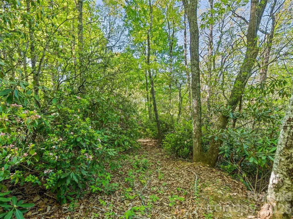 Sleepy Hollow Lane Waynesville, NC 28786