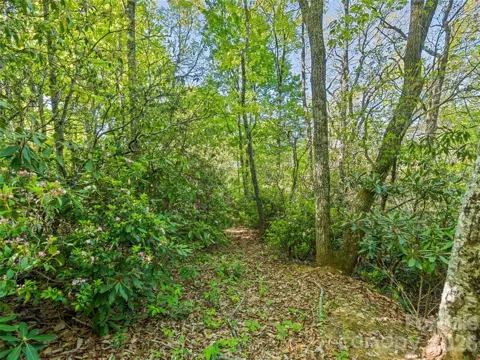 Sleepy Hollow Lane