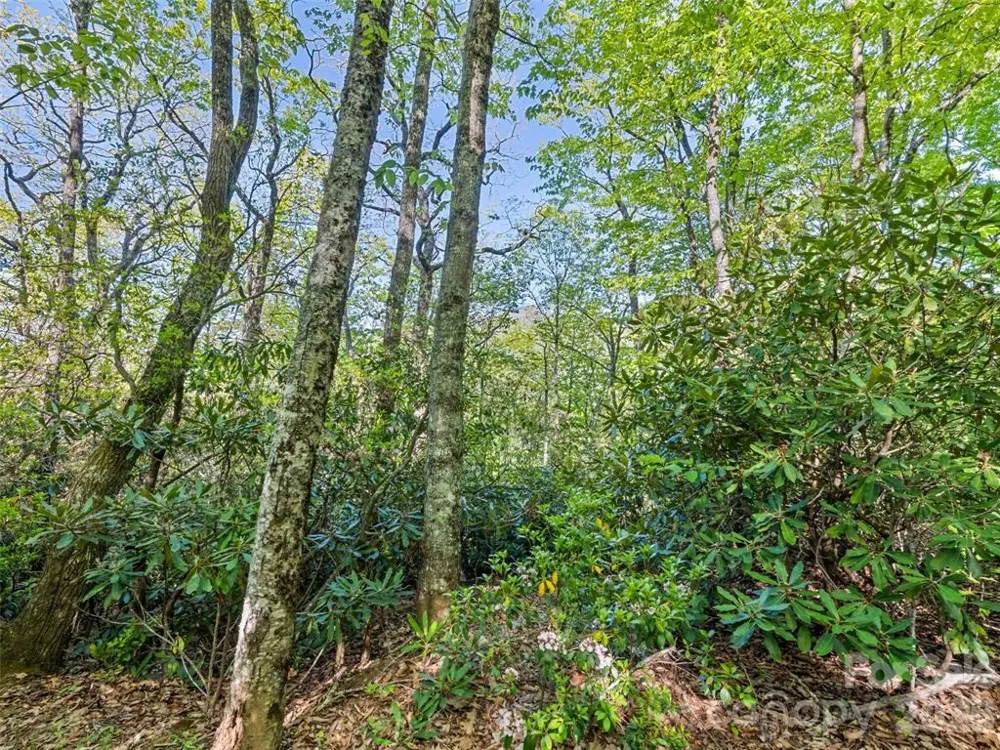 Sleepy Hollow Lane Waynesville, NC 28786