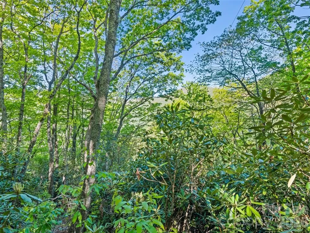 Sleepy Hollow Lane Waynesville, NC 28786