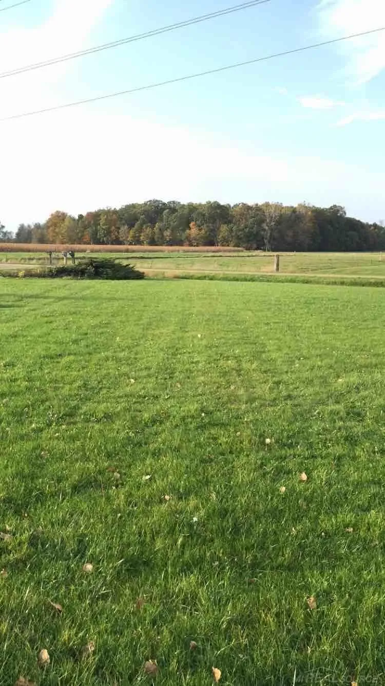 13775 mesmer Road Berlin Township, MI 48002